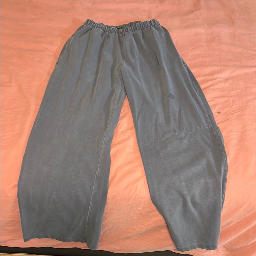 Brandy Melville Charcoal Gray Pants